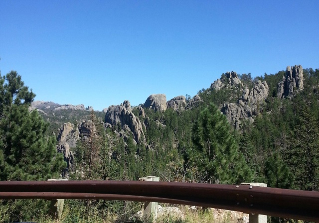 Black Hills Needles.jpg